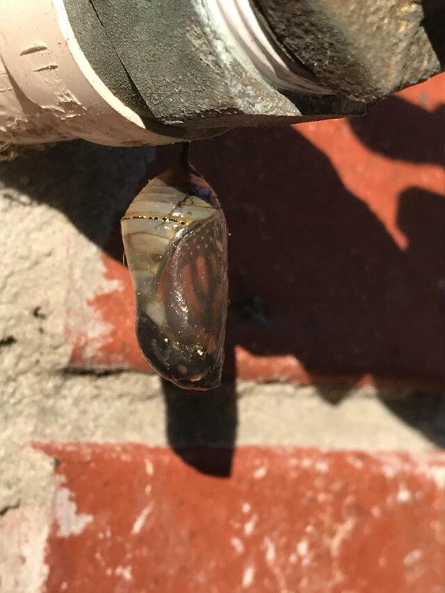 Удивительные факты со всего мира в фотографиях