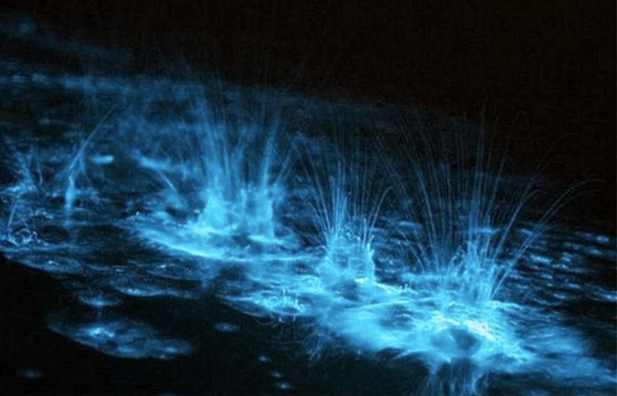 Самые живописные заливы мира