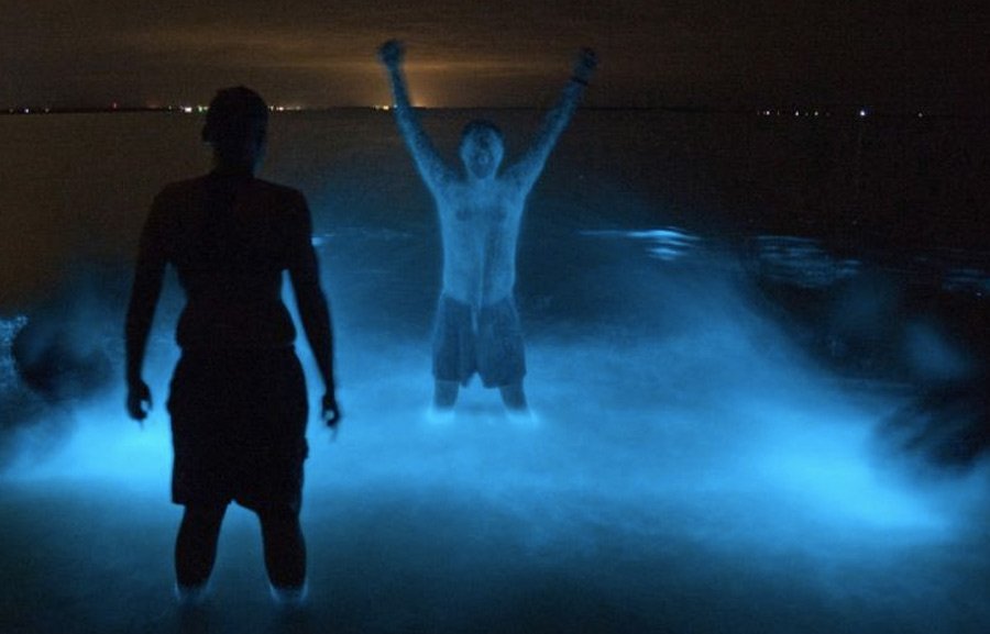 Самые живописные заливы мира