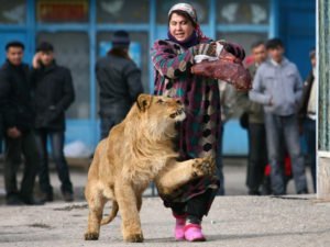 Самые скандальные фото звезд в бикини, снятые папарацци