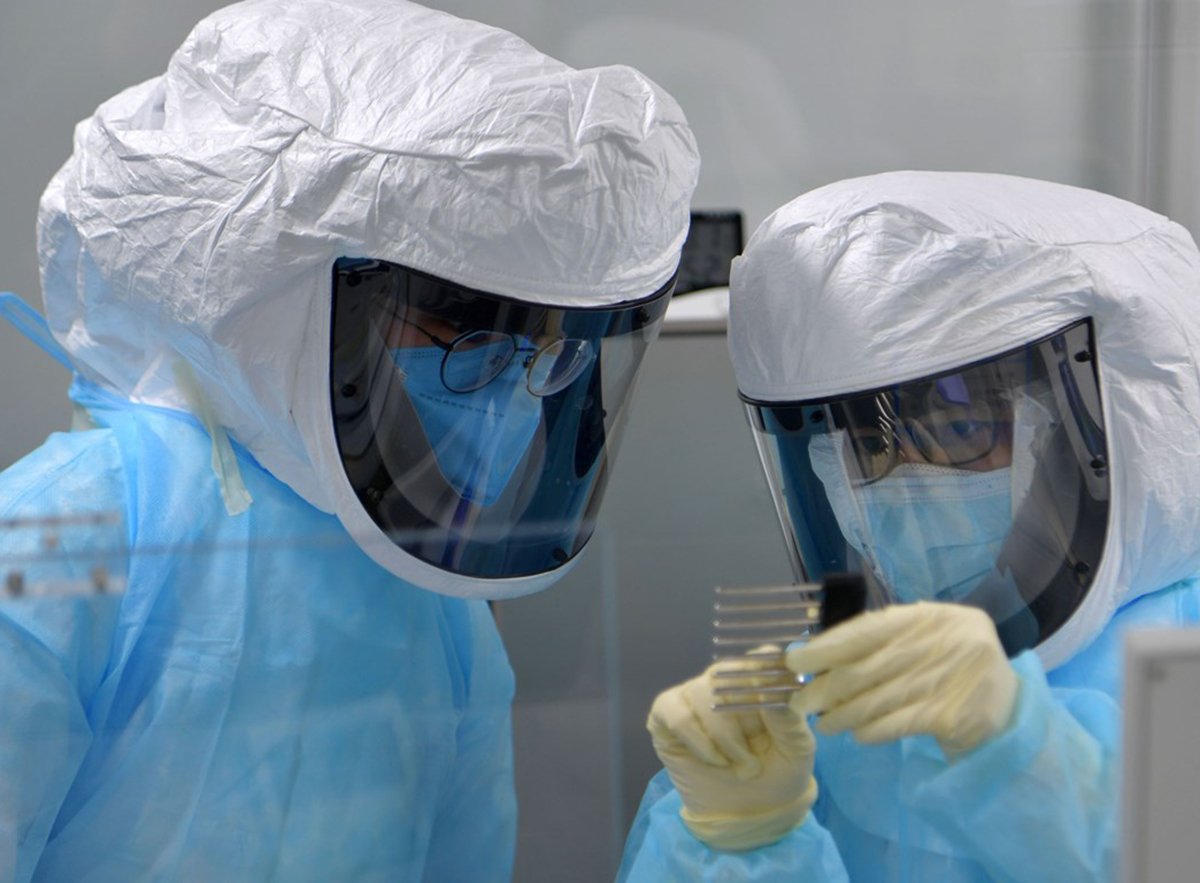 Ученые из Китая помогают выяснять происхождение коронавируса в США