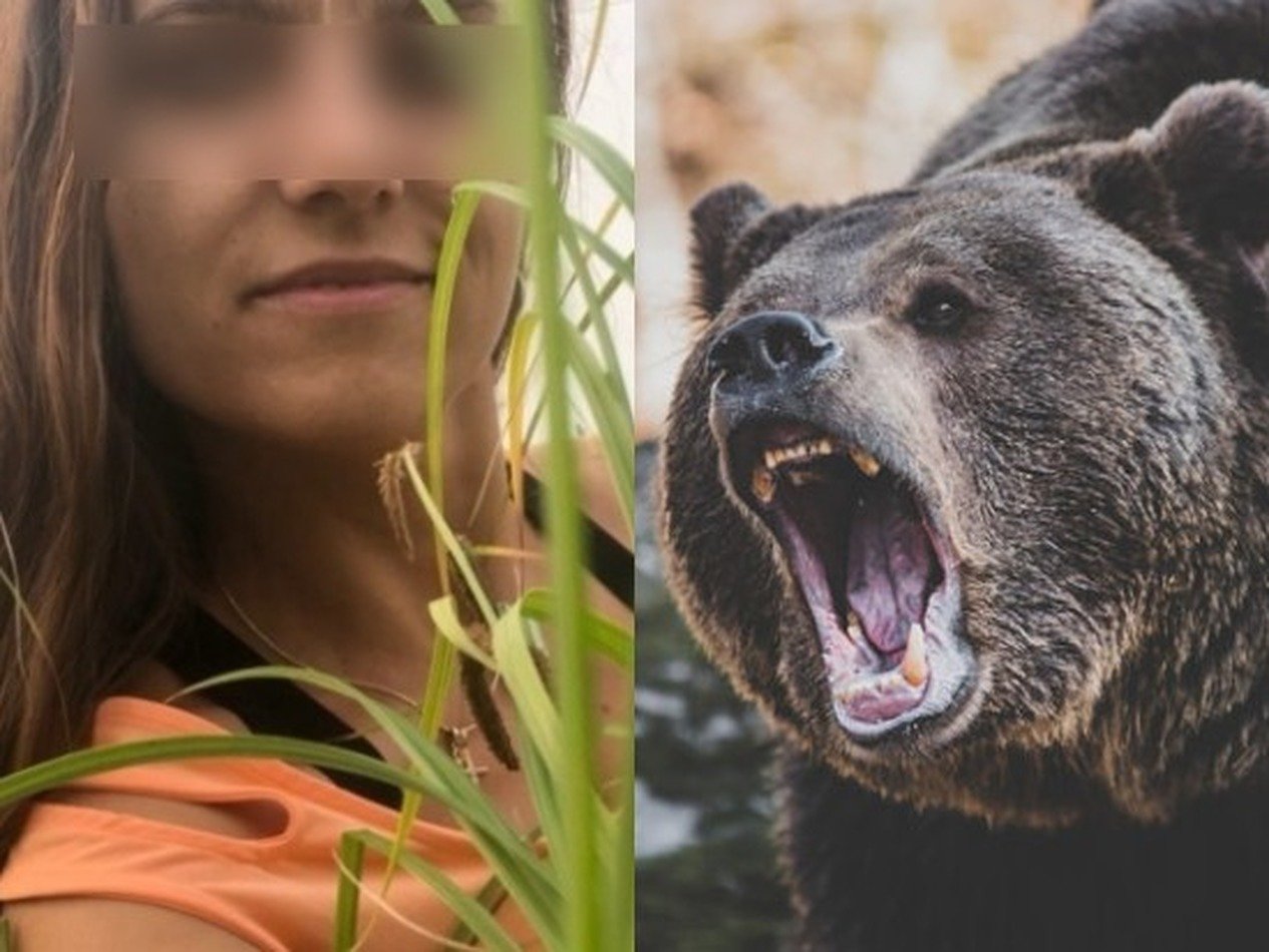 Погибнуть в таких муках не заслужила»: сибирячку насмерть загрыз медведь -  TOPNews.RU