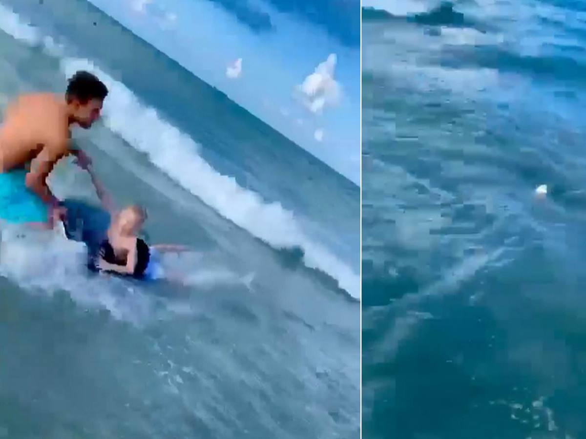Полицейский спас ребенка от акулы и попал на видео - TOPNews.RU 