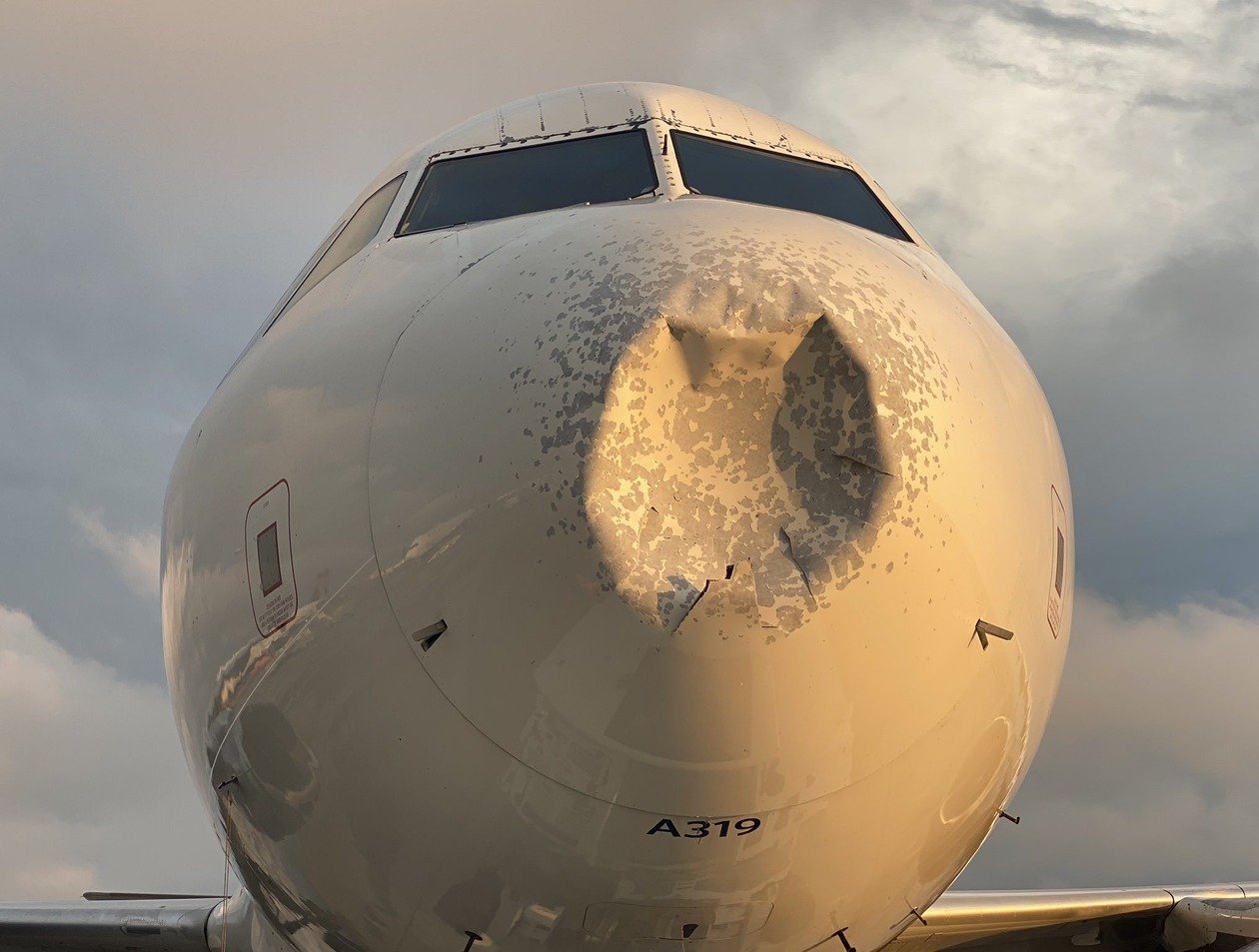В США экстренно сел самолет с загадочным повреждением носа