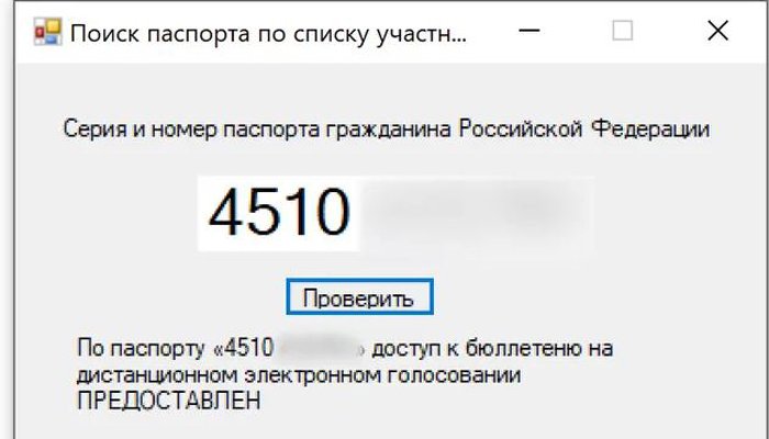 СМИ: данные 1 млн голосовавших по поправкам в Конституцию онлайн москвичей попали в Сеть