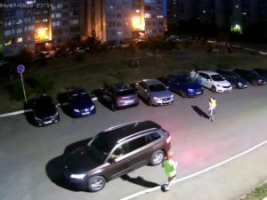 Бродячие собаки напали на гуляющих детей в Тольятти