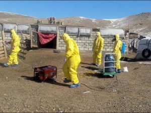 У границ с Россией введен карантин по бубонной чуме