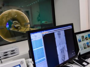 В России назвали регионы с самой высокой заболеваемостью раком