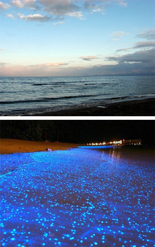 Уникальные места, которые полностью меняются ночью