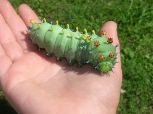 Самые красивые библиотеки России