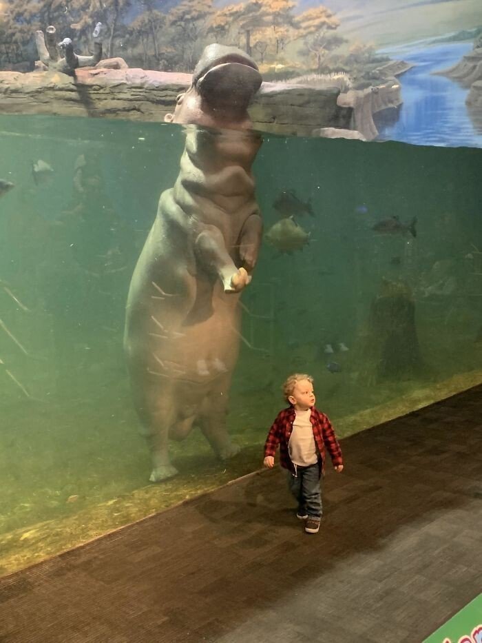 Животные и их реальные размеры