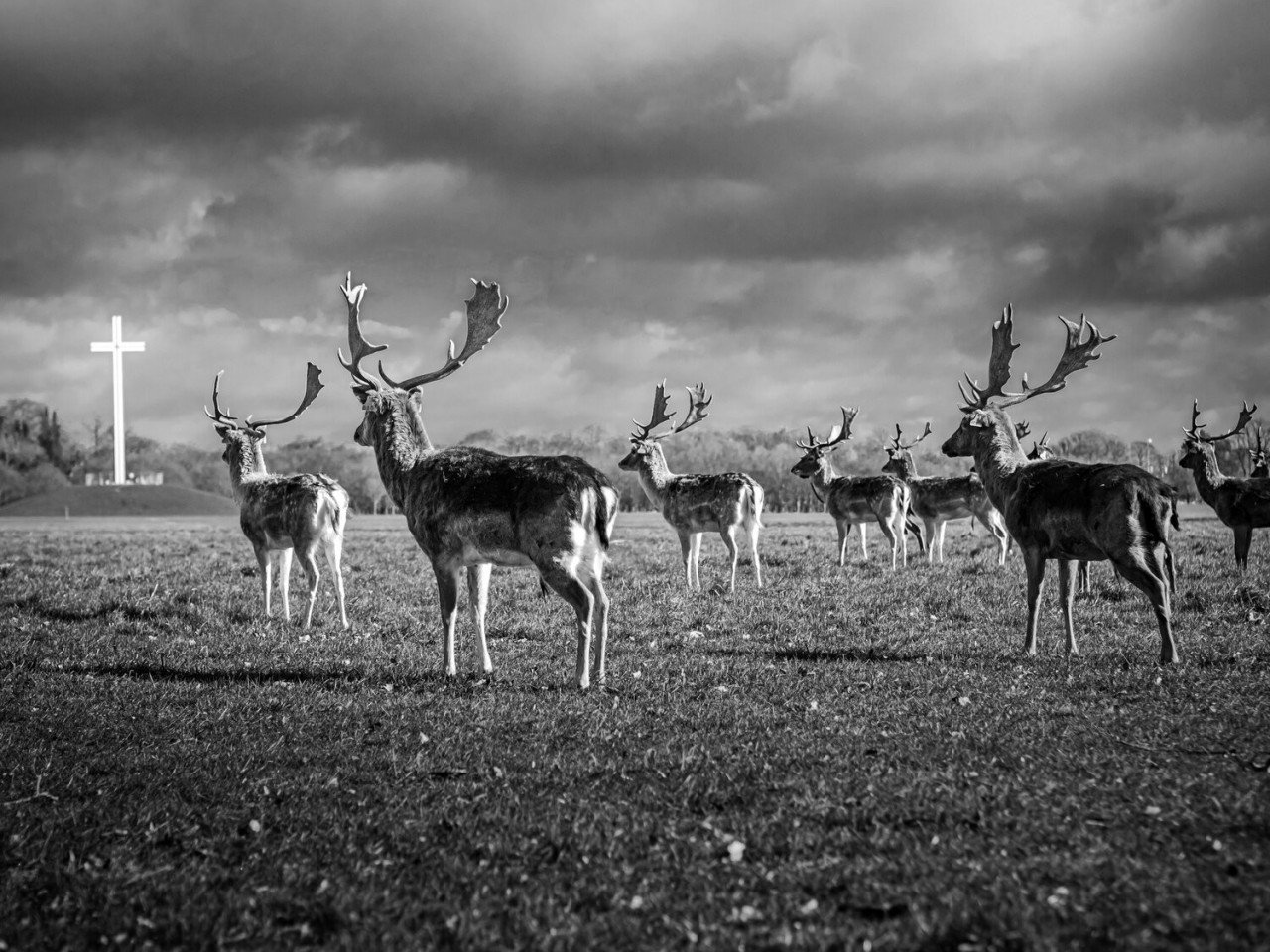 Конкурс уличной фотографии SPi Street Awards 2020