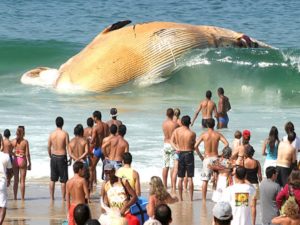 Полный список девушек Леонардо Ди Каприо 