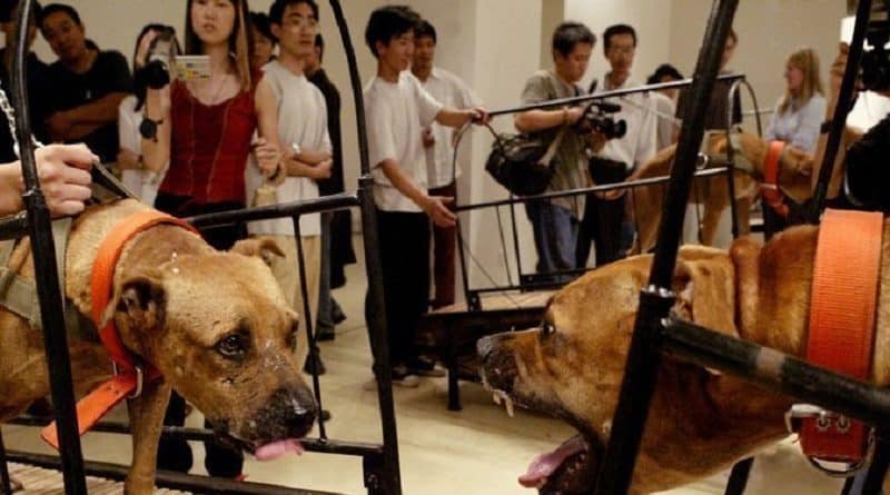 Произведения культуры и искусства, оскорбившие чьи-то чувства