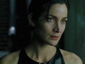 Самые известные долгожители среди живых организмов 