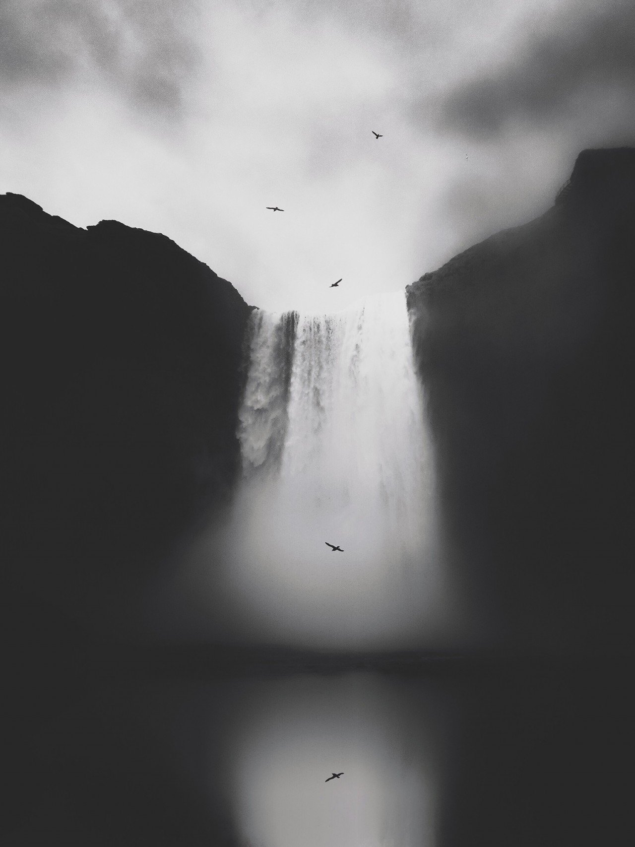 «Оскар» мобильной фотографии iPhone Photography Awards 2020