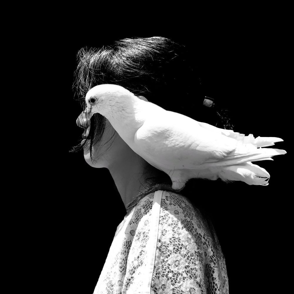 «Оскар» мобильной фотографии iPhone Photography Awards 2020