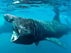 Тогда и сейчас: фото знаменитых достопримечательностей