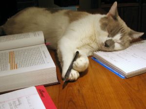 Звезды, которых можно перепутать с бездомными 