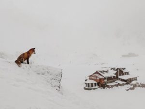 Как выглядят дети самых красивых женщин планеты 