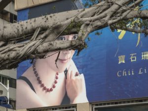 Любимые женщины авторитарных вождей и диктаторов 