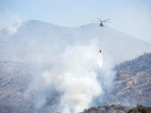 Лесные пожары под Анапой: пламя на 130 гектарах, эвакуированы тысячи туристов