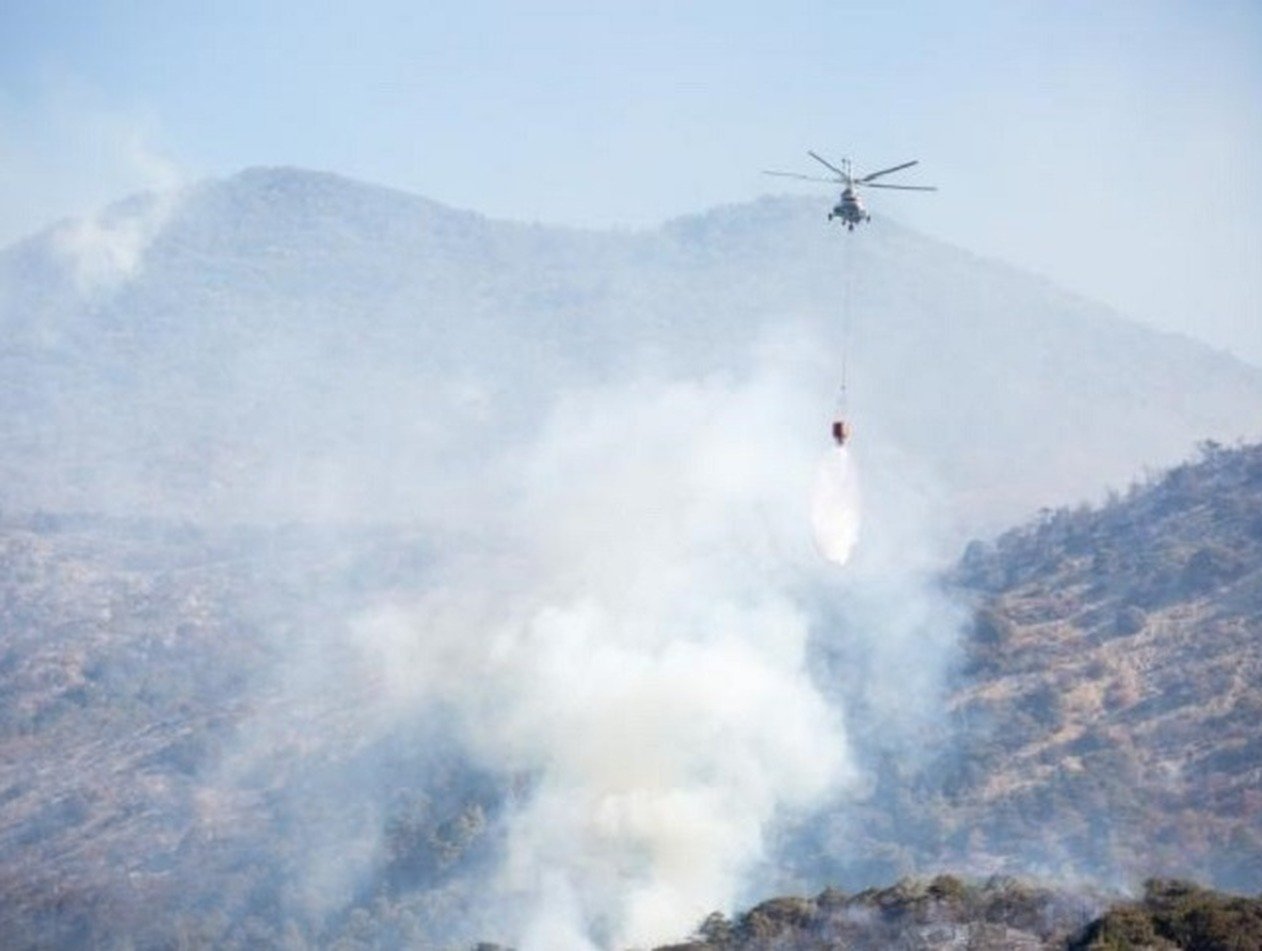 Лесные пожары под Анапой: пламя на 130 гектарах, эвакуированы тысячи туристов