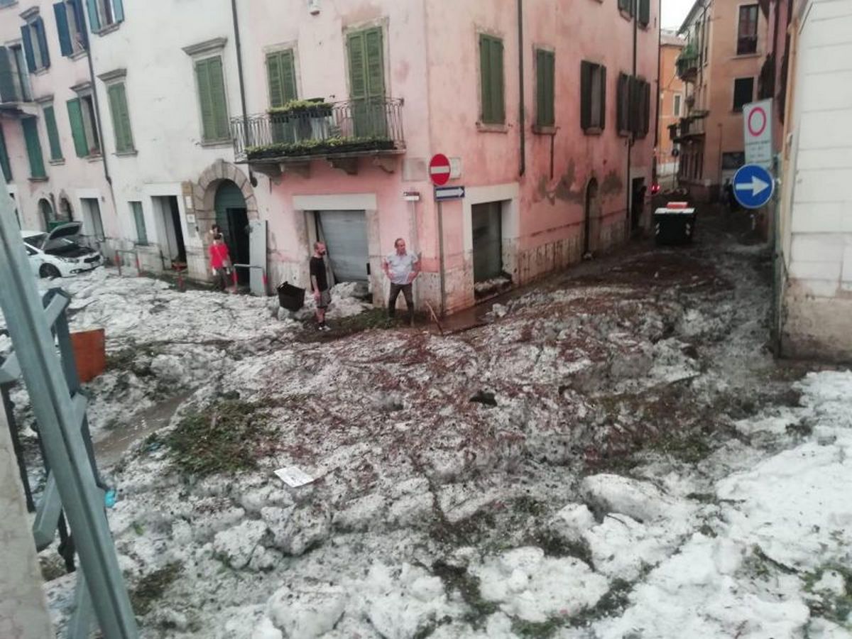 Ураган повалил сотни деревьев на северо-востоке Италии