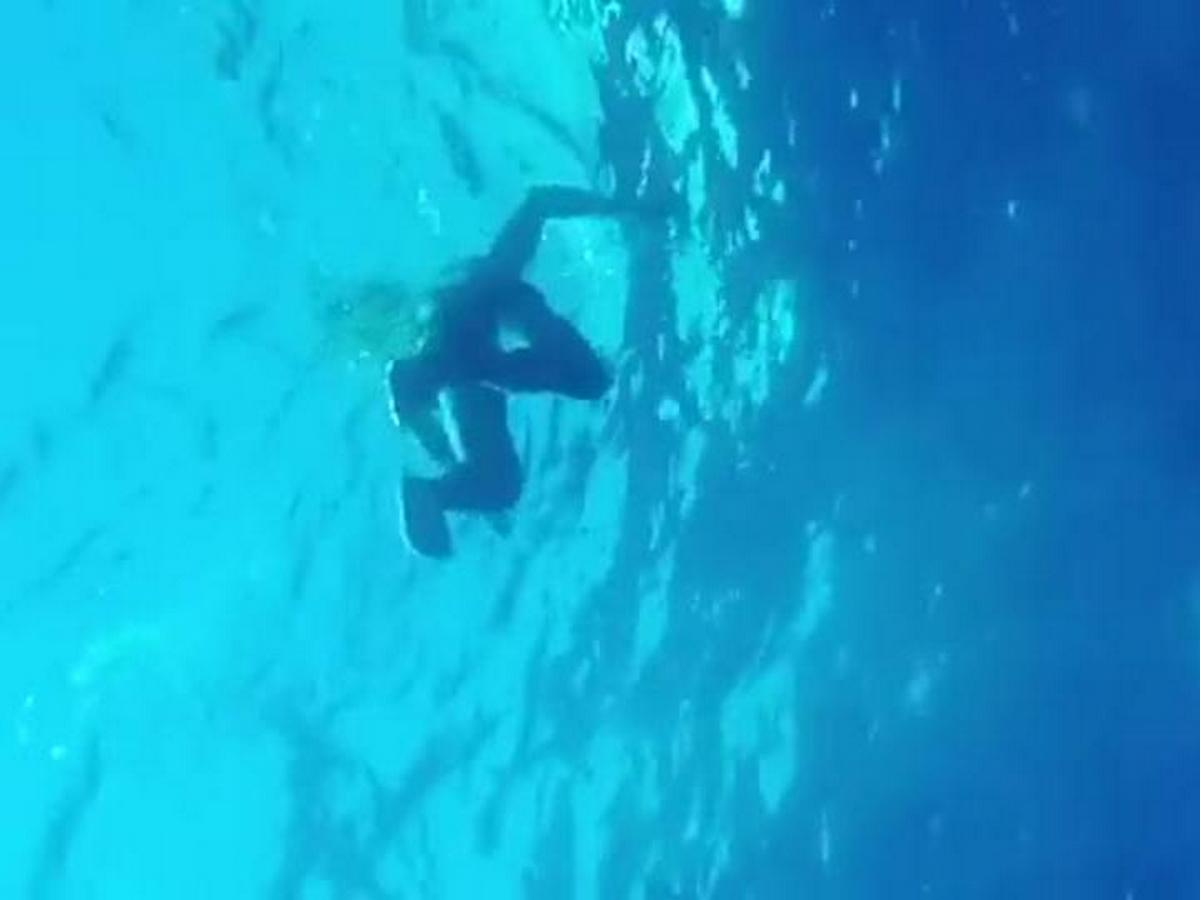 Спортсмен занимающийся дайвингом погрузился в воду 110. Погружение на глубину без акваланга. Видео погружение без акваланга. Люди которые ныряют без акваланга.