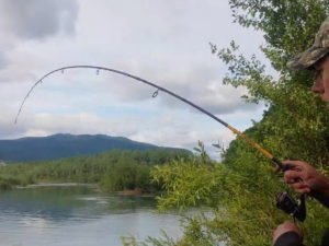 Рыбака утопила рыба