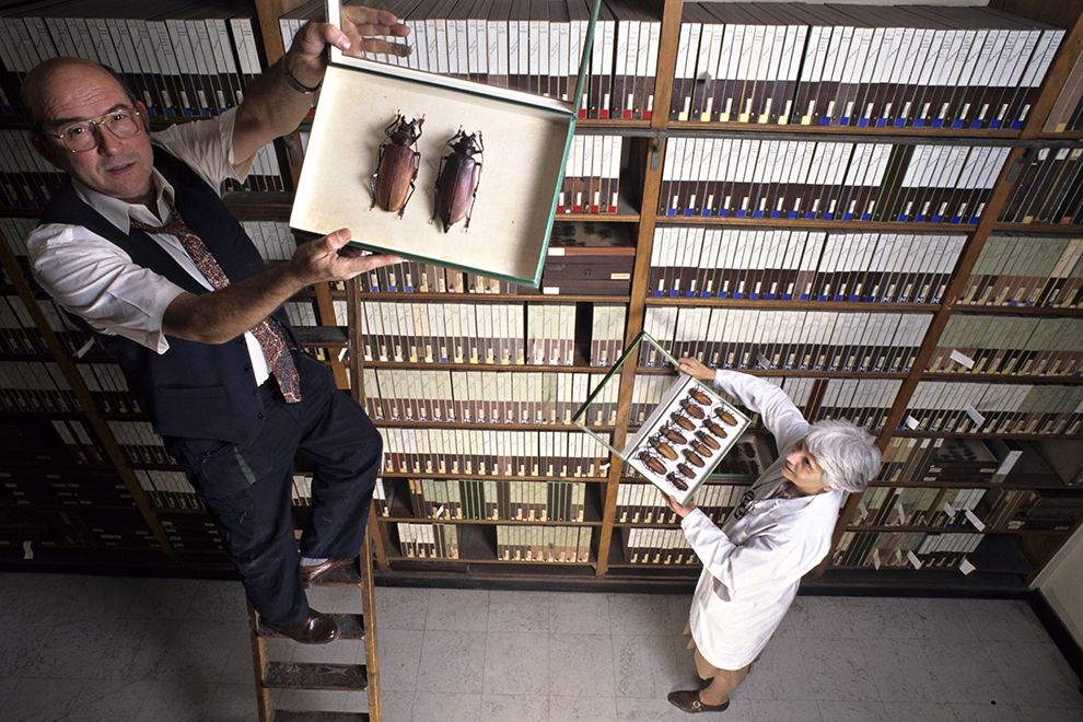 Эксцентричные поступки и вложения самых богатых людей мира