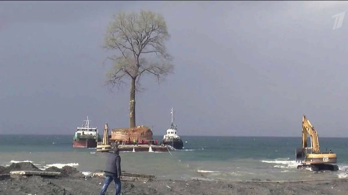 Эксцентричные поступки и вложения самых богатых людей мира