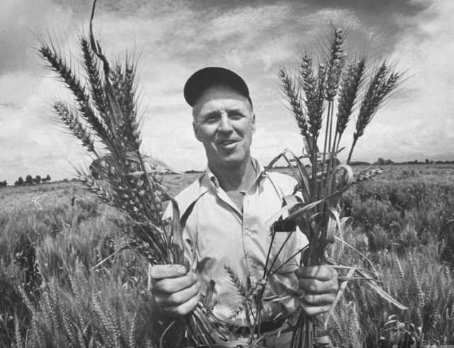 Малоизвестные герои, спасшие множество человеческих жизней