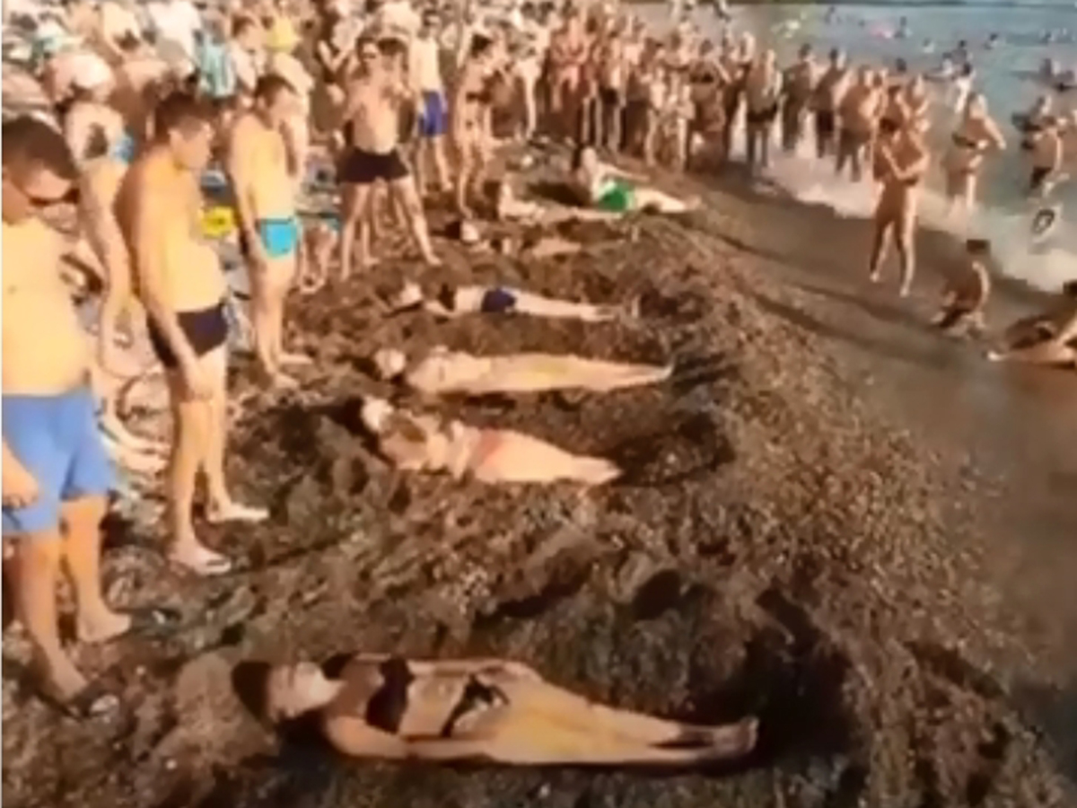 Развлечение туристов на пляже Сочи