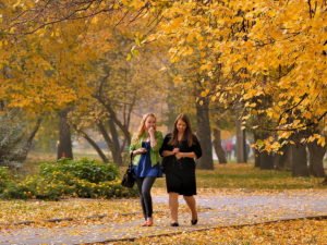 Названы сроки прихода бабьего лета в России