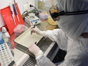 Названо нейтрализуюее коронавирус средство