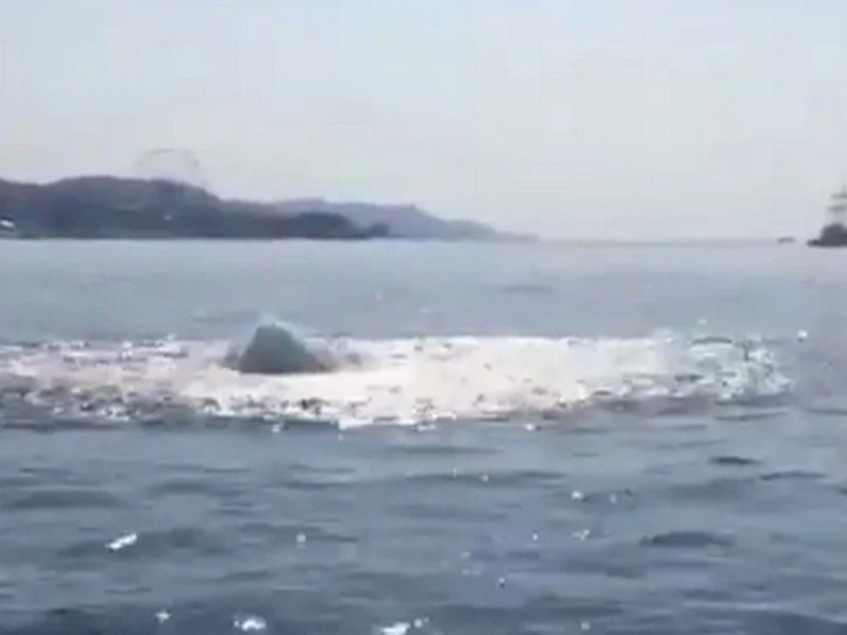 У береговой линии в Сочи на видео сняли 