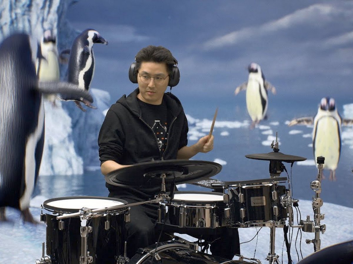 Блогер сыграл на барабанах для виртуальных пингвинов