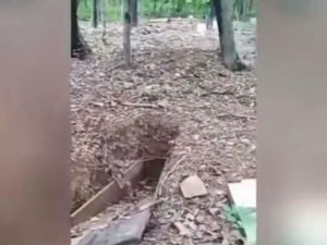 Во Владивостоке раскопали могилы с умершими людьми