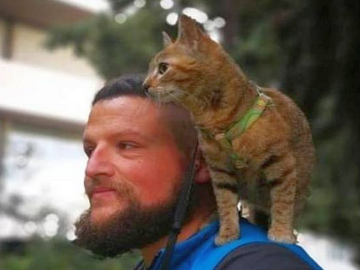 Шотландец с кошкой путешествует по миру на велосипеде