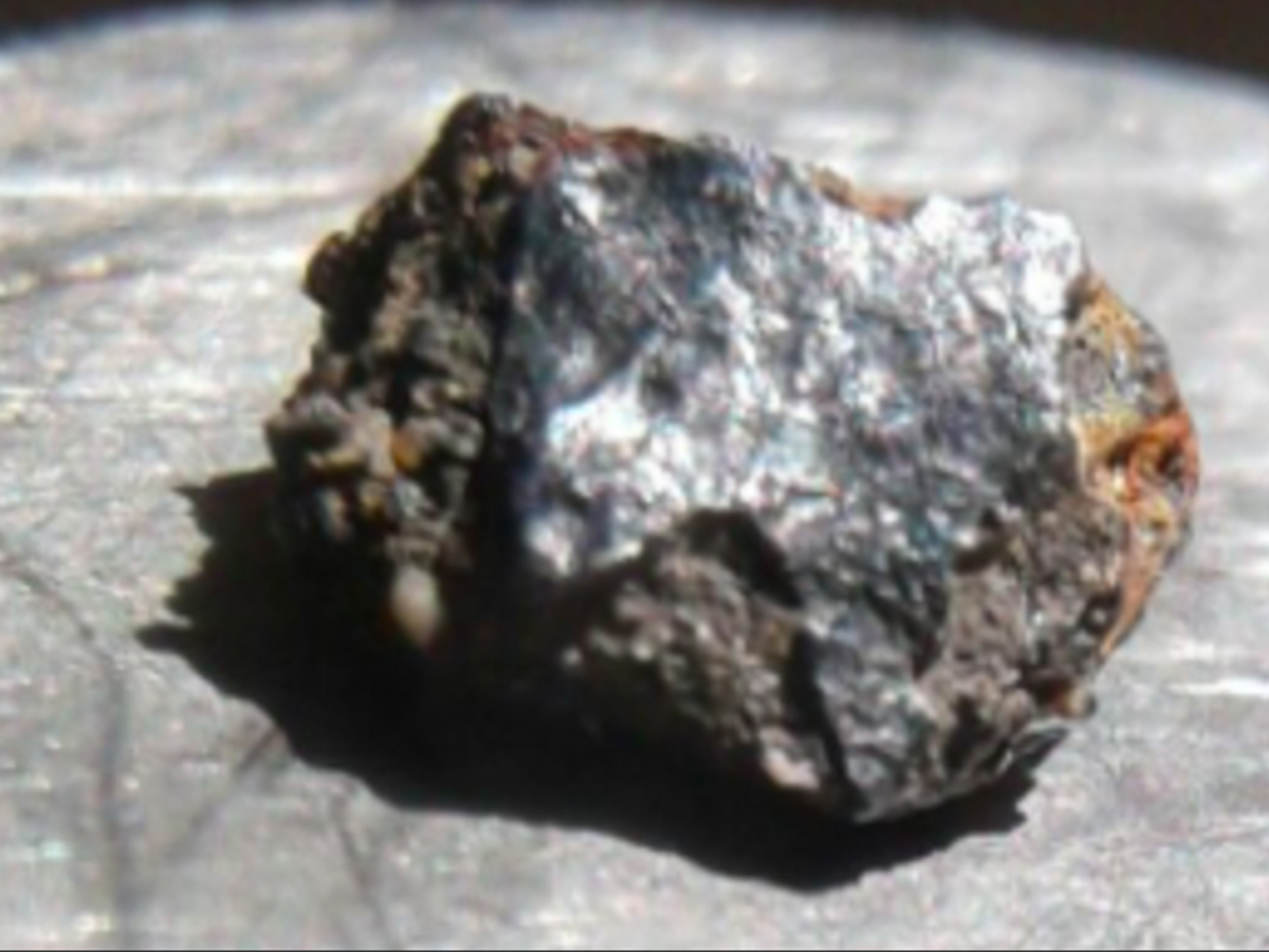 В США на упавшем метеорите нашли признаки внеземной жизни