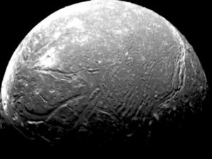 Знаменитые братья и сестры-актеры