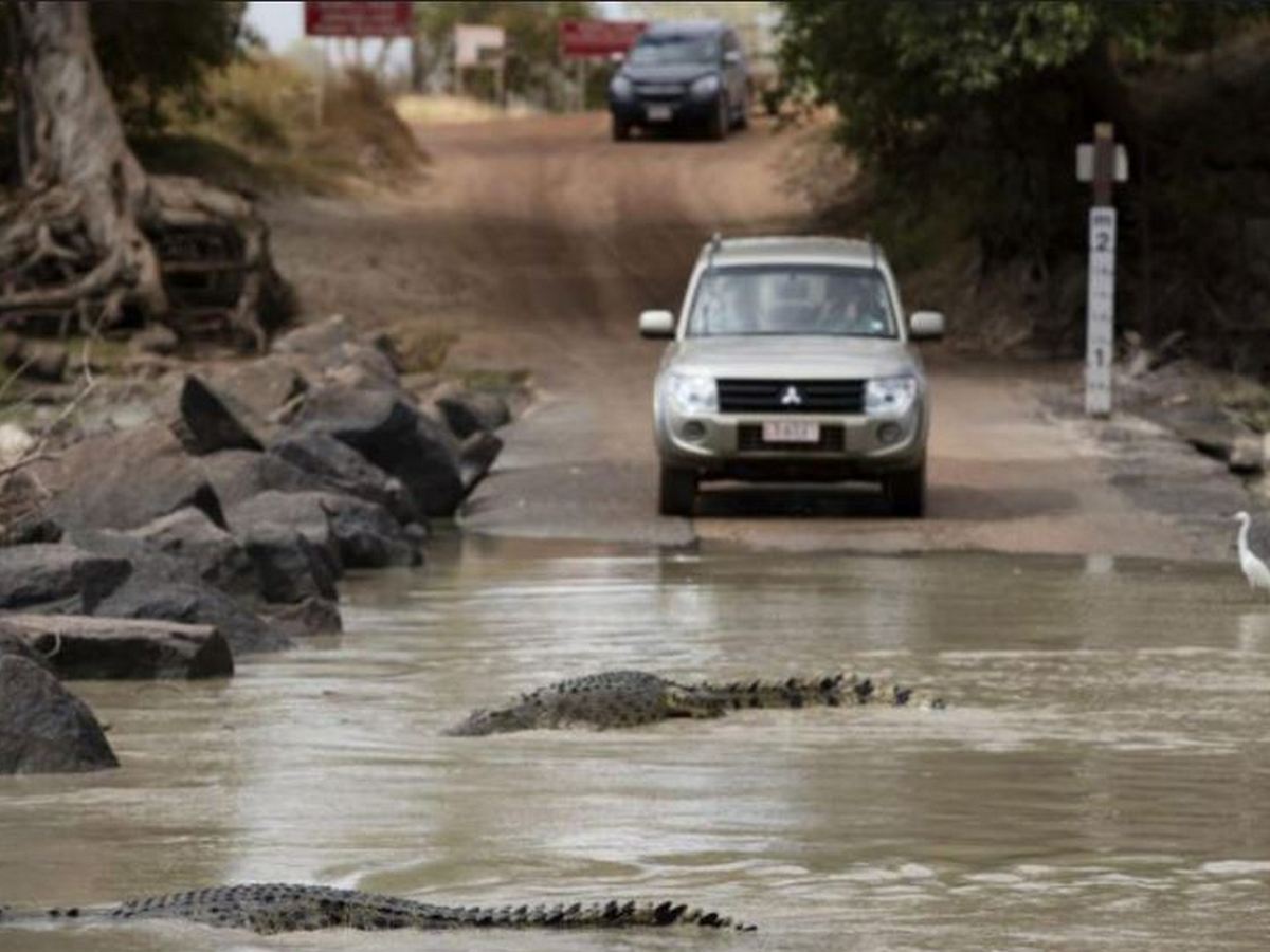 Семья пересекла вброд реку, кишащую крокодилами