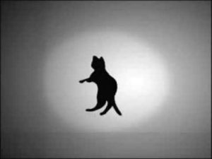 Оптическая иллюзия с кошкой
