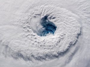 Изречения знаменитых людей разных эпох