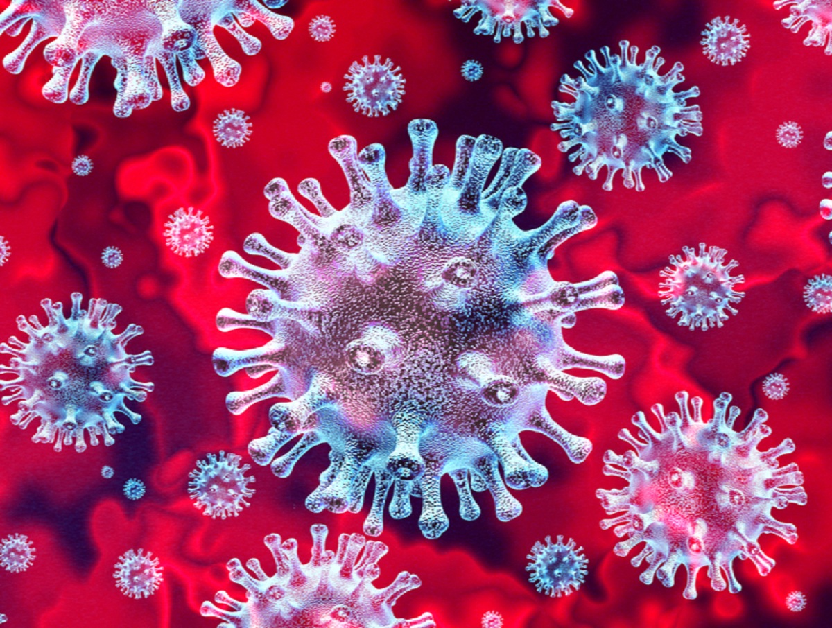 «Быстро распространяется»: новый тип коронавируса найден в ЮАР