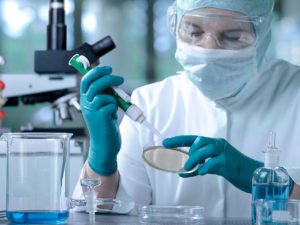 Ученые изучают коронавирус