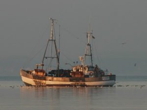 В Баренцевом море затонуло судно с рыбаками, пропали 17 человек
