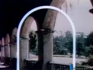 Самые необычные завещания в истории