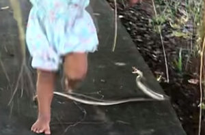 Маленькая девочка прославилась в Сети, не заметив нападения змеи